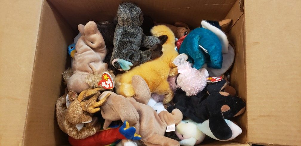 50+ Ty Beanie Babies. Take Entire Lot $200