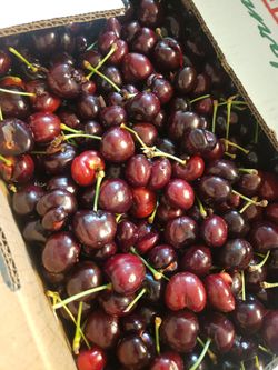 Sweet Cherry 🍒 