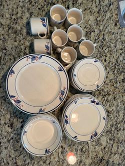 Plates and cups