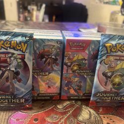 Pokémon Journey Together 
