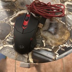 Computer Mouse
