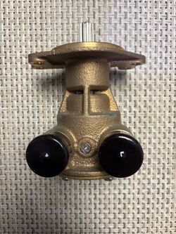Johnson water pump