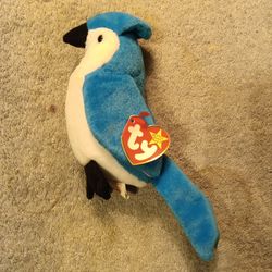 Rocket The Blue Jay