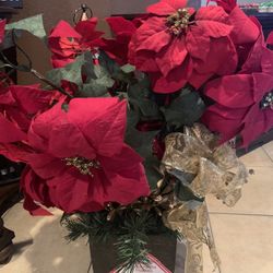 Beautiful Huge Poisentias Pot High Quality Item