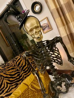Full Size Decorative Skeleton