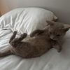 Anja 