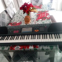Large CASIO Piano 