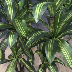 4 Plant Faux Decor 71" H x 48" W x 48" D