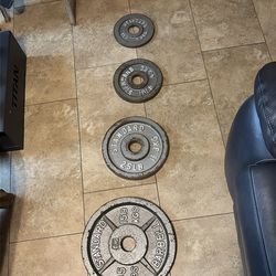 WEIGHT PlATE SET - OLYMPIC SIZE