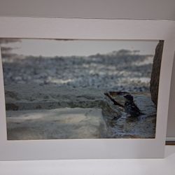 2 Photographs, Matted, 16x20