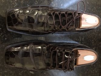 Alligator Shoes