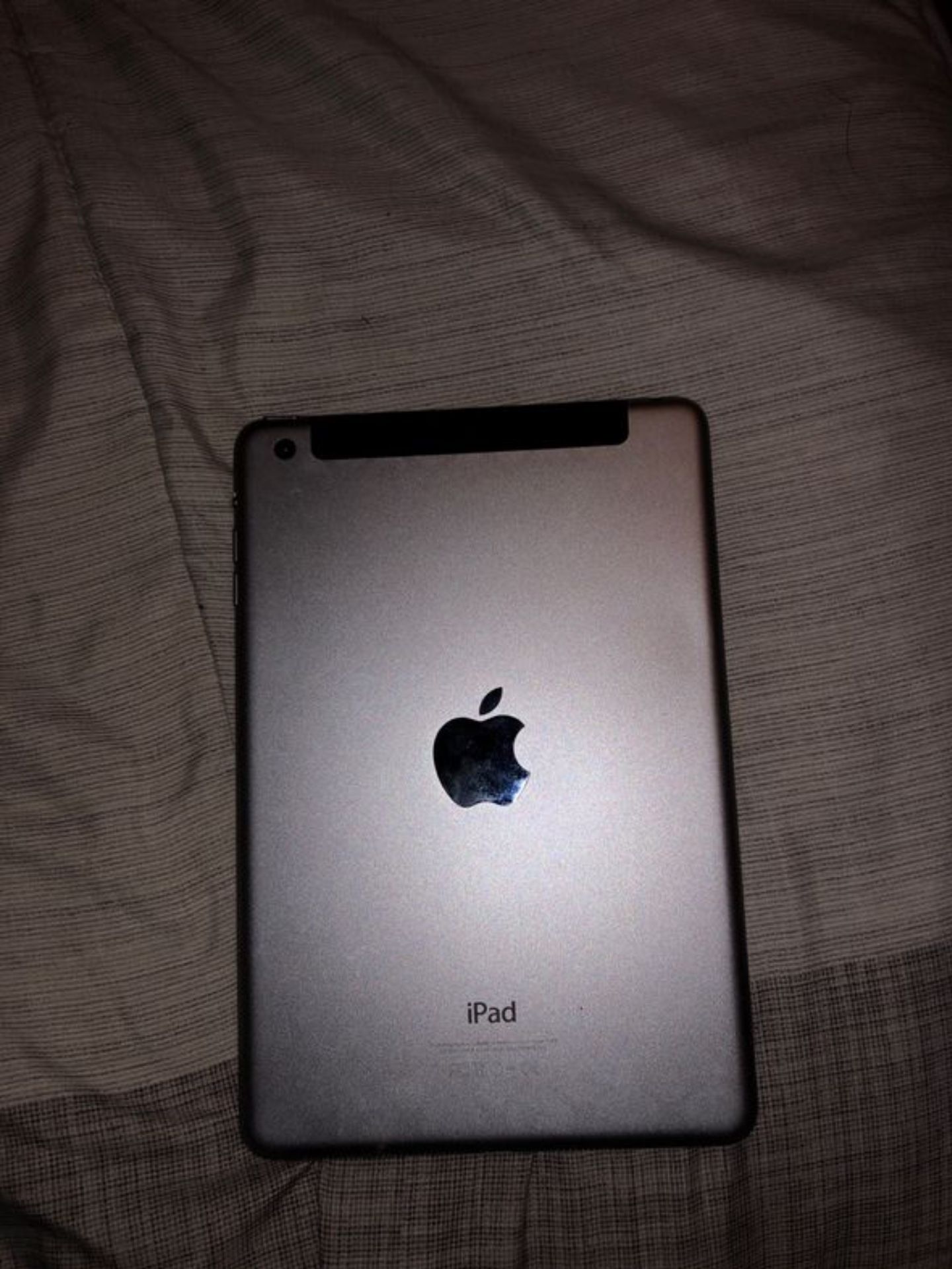 iPad mini 3