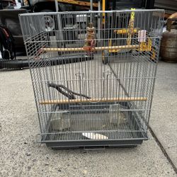 Birdcage