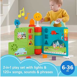 Fisher Price  Infant Play Set