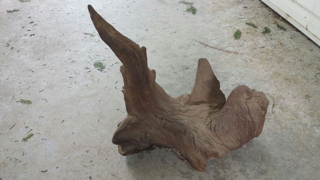 Driftwood large piece