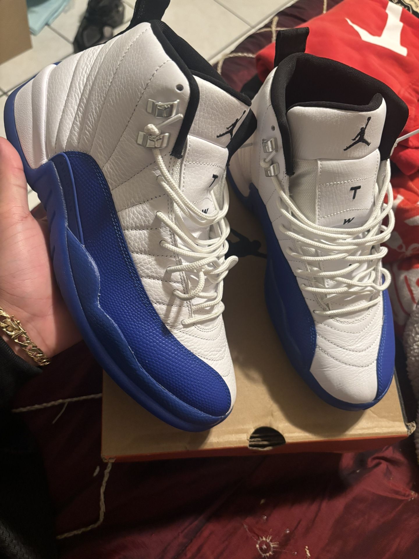 Air Jordan 12 Blueberry 🫐 