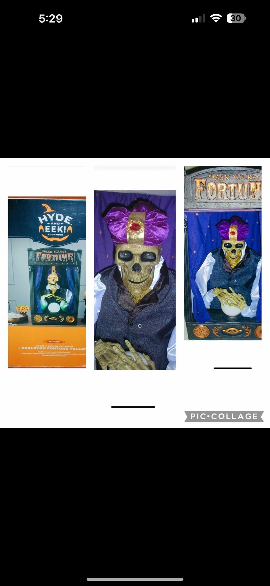 RARE:: HYDE and EEK Boutique 35” tall SKELETON FORTUNE TELLER Animated Halloween Prop