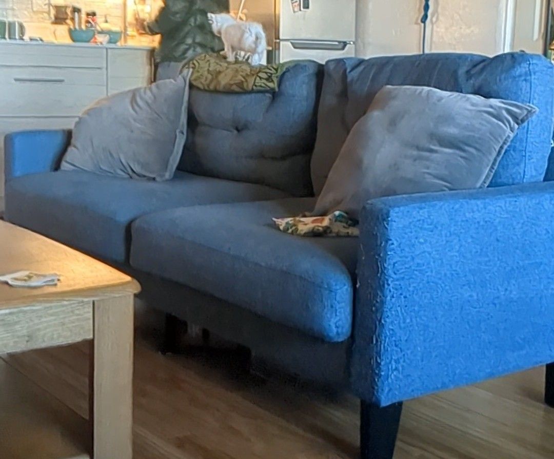 Blue Sofa