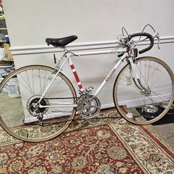 1984 Vintage Raliegh  Road Bike