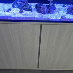 62 Tideline Lagoon