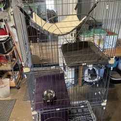 Cat Condo With Accessories