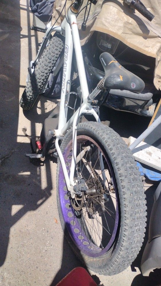 Fat Bike