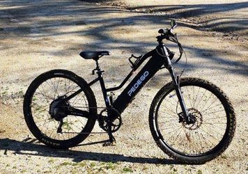 2022 Pedego Ridge Rider 