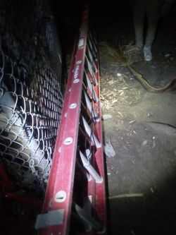 Werner ladder