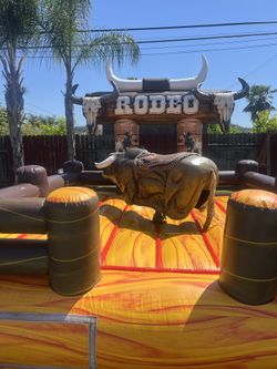 Mechanical Bull 15x15