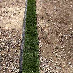 Synthetic Turf Remnant