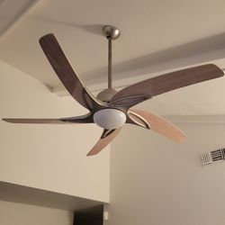 Ceiling Fan