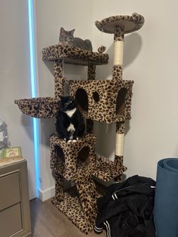 Leopard cat tree