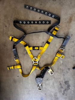 Guardian harness and yo-yo