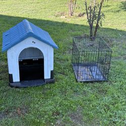 Dog House And Cage 