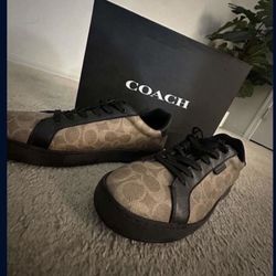Coach Mens Shoes 