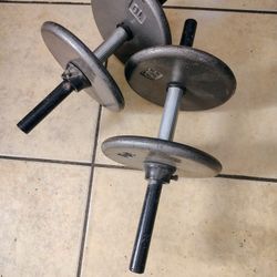 Pig Iron Weights To Dumbbells