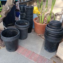 15 gal & 5 gallon  containers