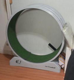 Cat Treadmill Exercise Wheel