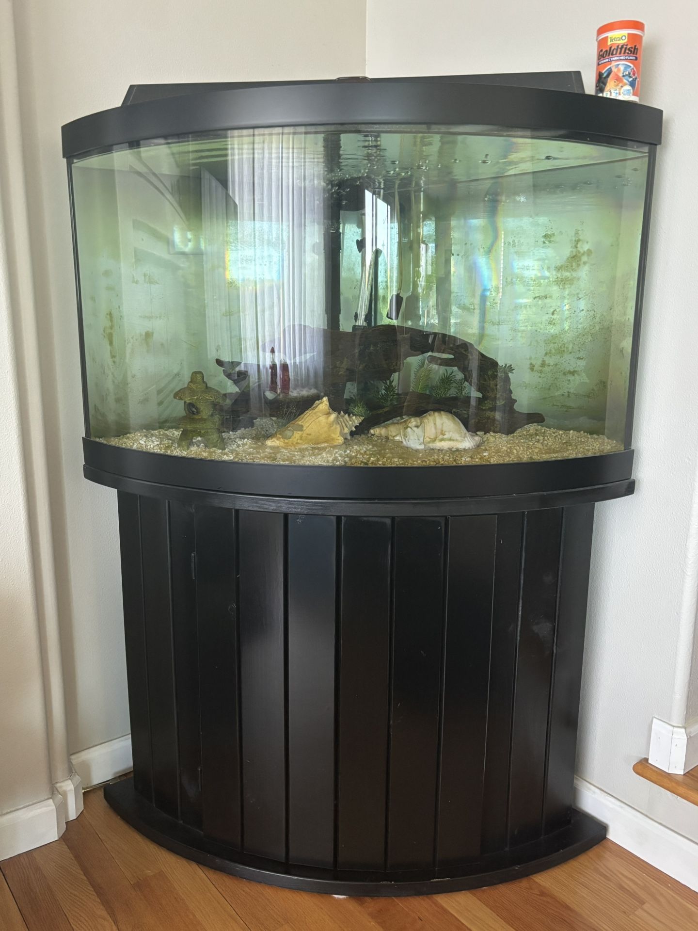 Corner Fish Tank