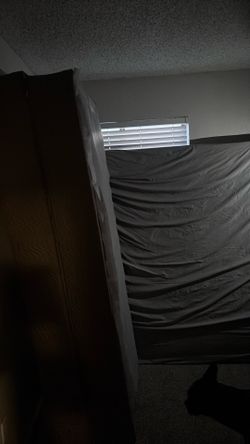 King size bed plus box spring