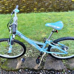 Trek 24” Bike 🚲 