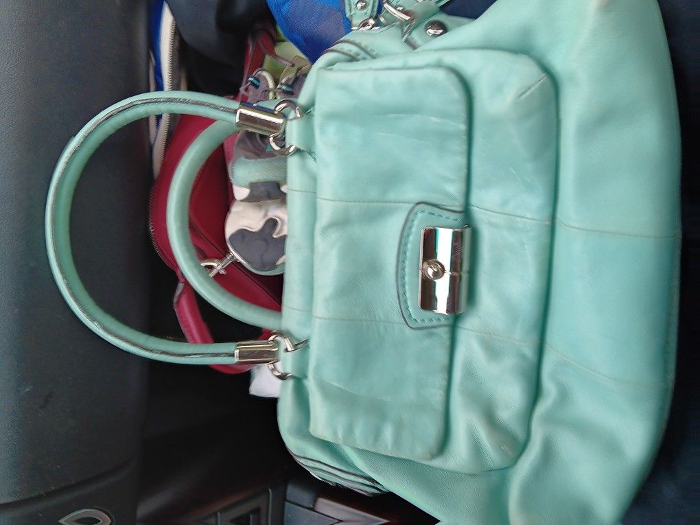 SPRINGTIME Coach Purse