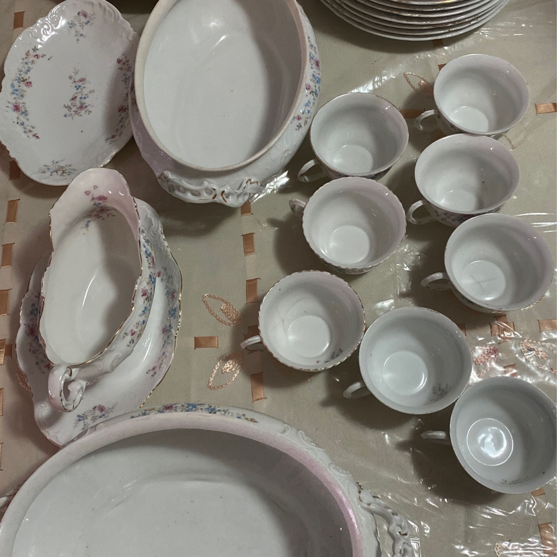 Carlsbad Austria china 23 Pieces