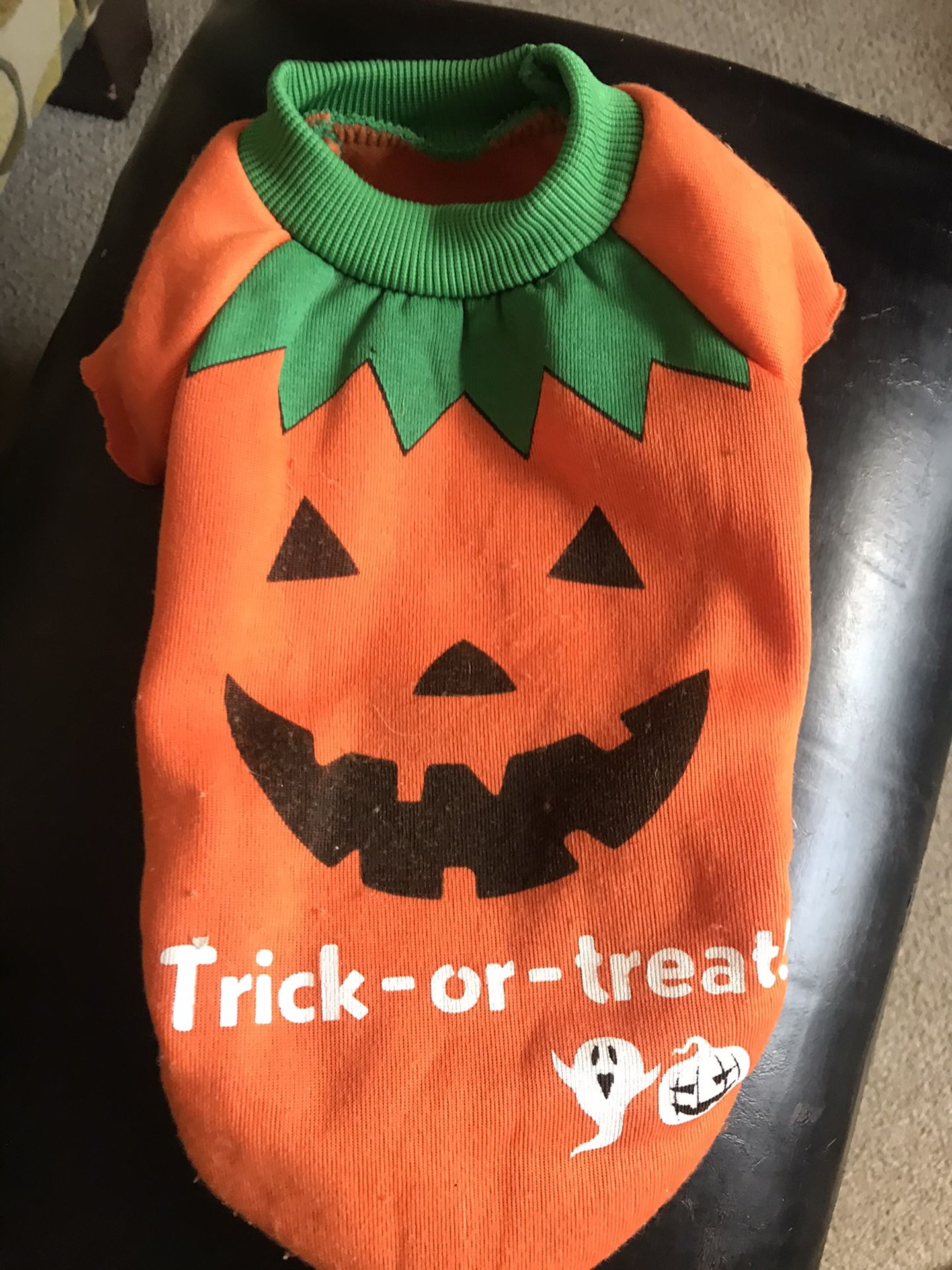 Pumpkin dog outfit