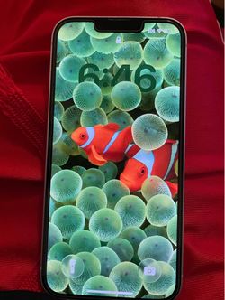 iPhone 14 (Verizon)