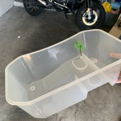 Baby Turtle Tank 