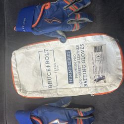 Bruce Bolt Batting Gloves