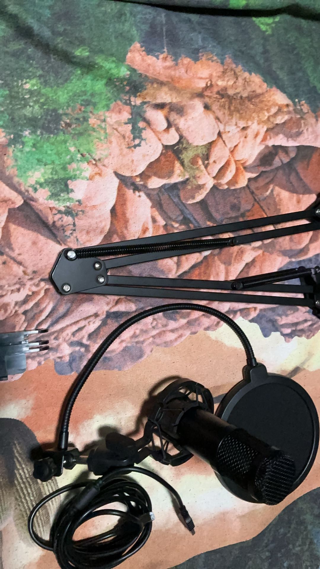 Ovedisa Blogging Mic