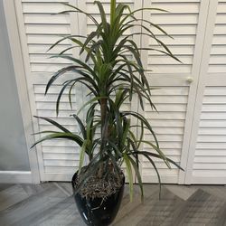 Artificial Plant