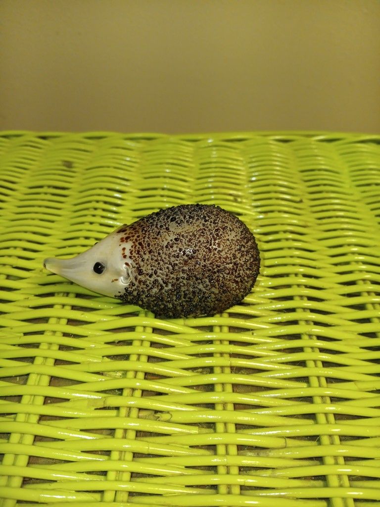 Glass Hedgehog 